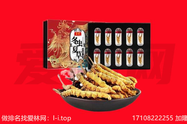 黄山市回收虫草.jpg